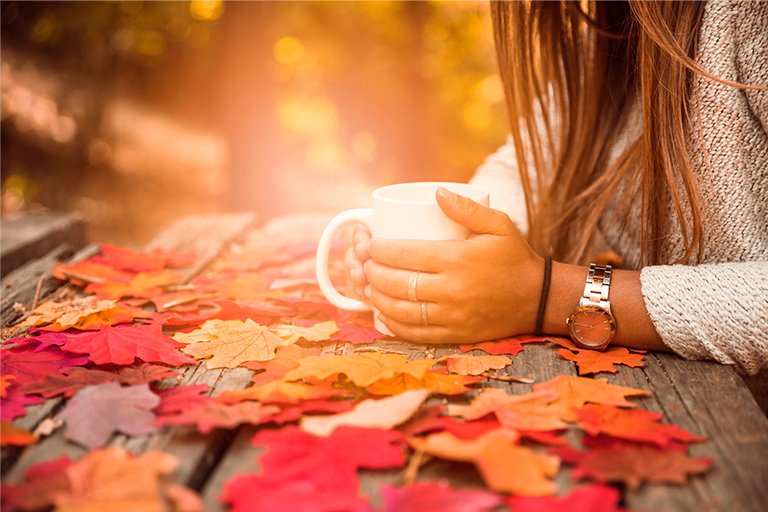 A “Queda das Folhas” e o Seu Cabelo: Como Saber se a Queda de Outono é Normal ou um Alerta Vermelho?
